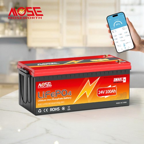 Batteria litio 24v 100ah - litio,