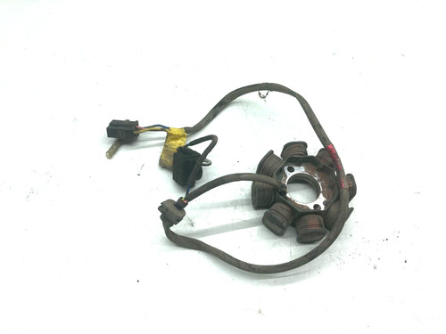 Statore alternatore magnete - alternatore,