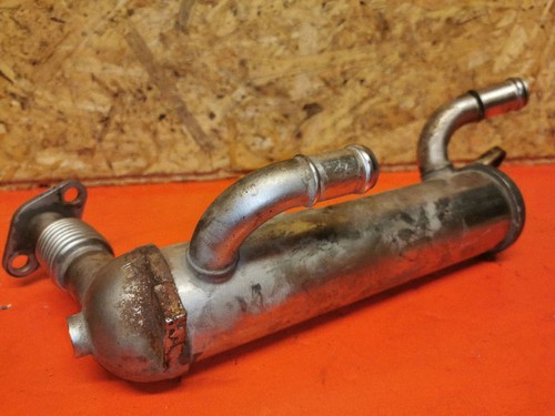 Radiatore gas scarico kia - radiatore,