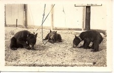 RPPC Lincoln NH Clark Eskimo