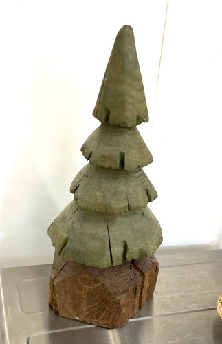 Albero sempreverde legno - albero,