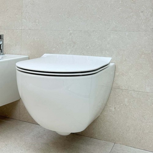 Hatria centrica pure vortex - wc,