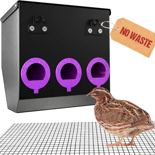 Alimentatore quaglie 3 - alimentatore,