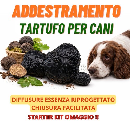 Tartufo finto ovetto - tartufo,