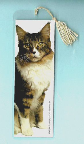 Segnalibro tabby gatto - tabby,