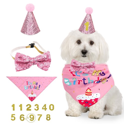 Nitaiun pezzi cane - 4,