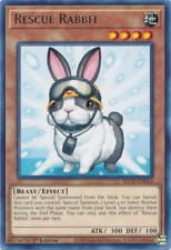 Coniglio di salvataggio x3