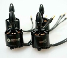 Team Blacksheep TBS 1000Kv