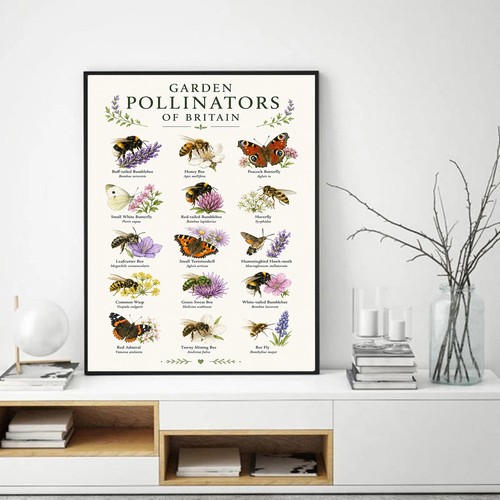 Poster specie impollinatore - specie,
