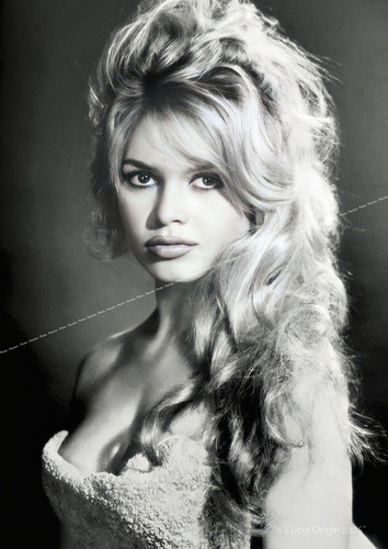 Photo brigitte bardot - a4,