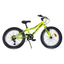Bicicletta Mountain Bike Ruota
