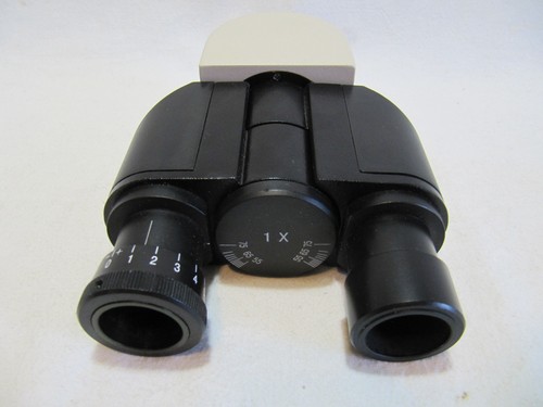 Tubo binoculare microscopio