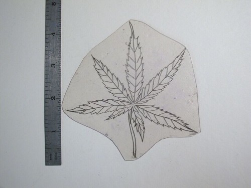 Stencil acetato flash