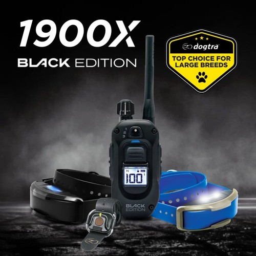 Dogtra 1900x black edition - edition, 1