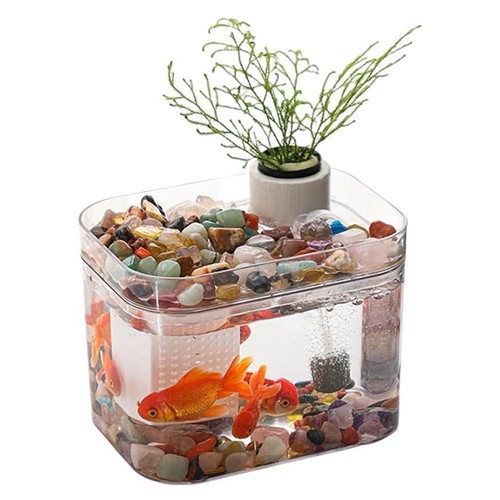Serbatoio pesci acquario set - acquario,