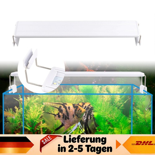 Lampada led acquario - lampada,