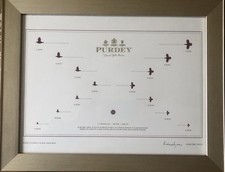 Purdey Fagiano Tiro Pernice