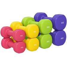 HOMCOM Set 4 Manubri da 20 kg