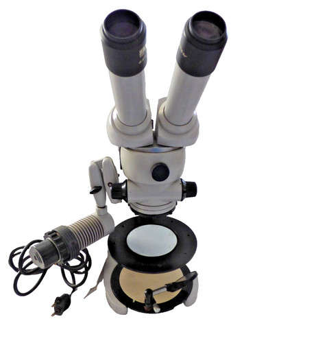 Stereomicroscopio carl zeiss - stereomicroscopio,