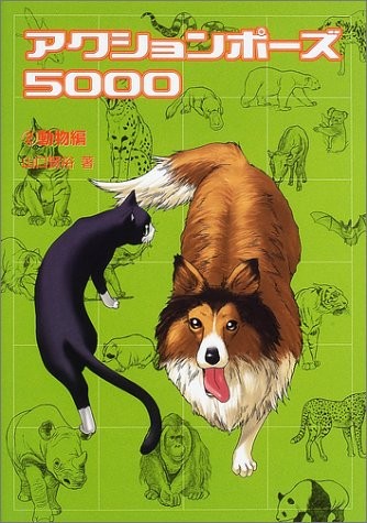 Action pose 5000 animal - pose, animal-hen