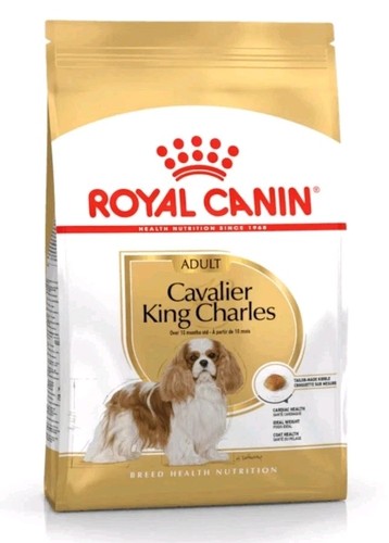 Royal canin cane - 1, cavalier