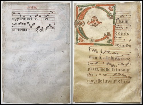 Antifonario pergamena - antifonario,