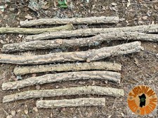 5 Rami di Quercia da Sughero 50cm – Naturale, 100 % Bio