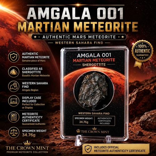 Amgala 001 meteorite - , marziano