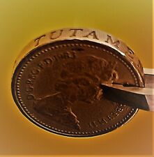 Moneta  Inglese da one Pound