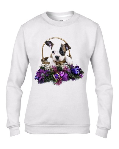 Natale bulldog francese - natale,