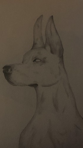 Disegno matita - disegno, a