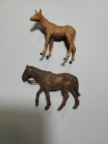 Cavallo puledro per - , e