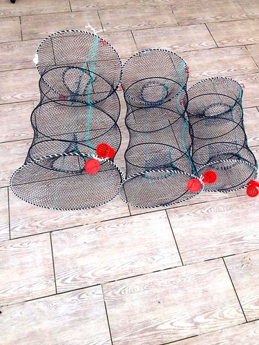 Nasse pesca anguille - nasse, pesca,