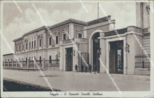 Bg418 cartolina foggia - bg418,