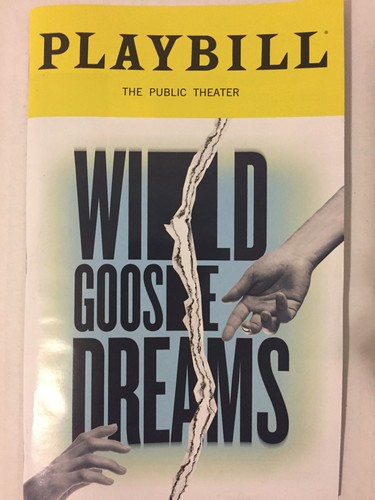 Wild goose dreams playbill - wild, off