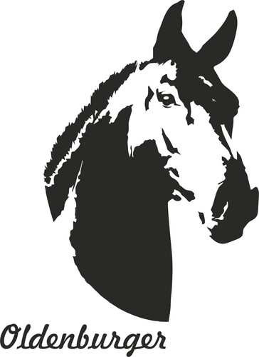 Adesivo auto cavallo