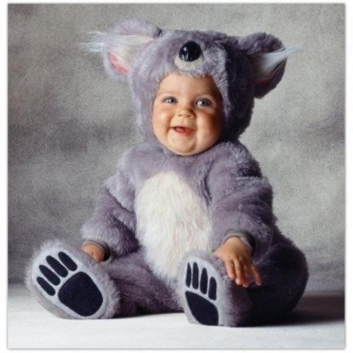 Costume orso koala tom - costume,