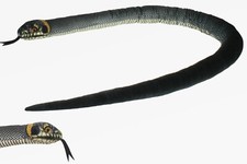 Peluche Serpente A Sonagli