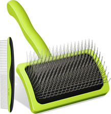 Professionale Spazzola per