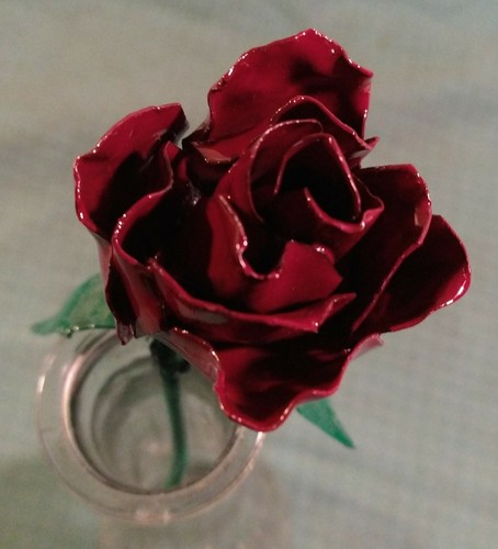 Rosa rossa piccola - , in