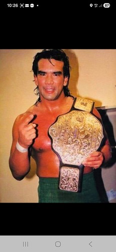 Wrestling superstars ricky - wrestling,
