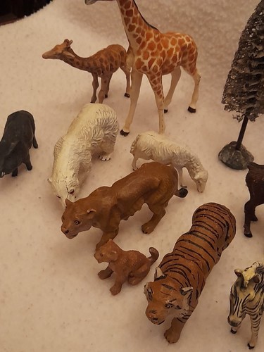 Animali massa - animali,