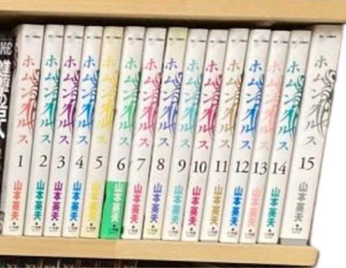 Used homunculus vol 15 - used,