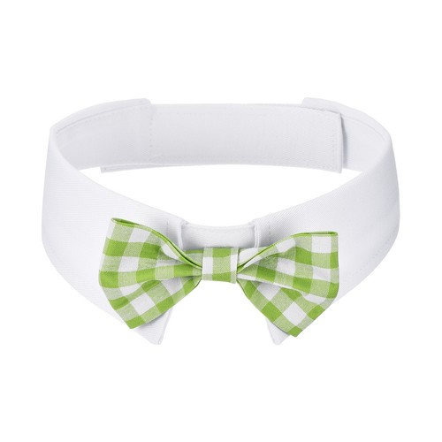 Papillon per cani grande - cani,