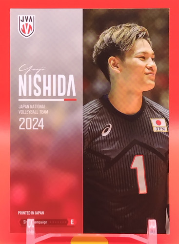 Nishida ishikawa scheda - ishikawa, /