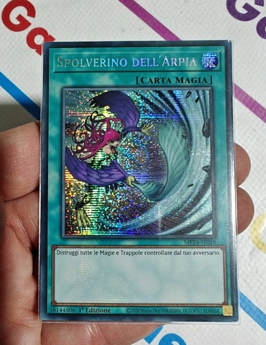 Spolverino dell arpia - dell'arpia, •