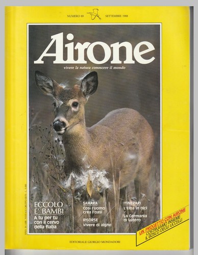 Airone rivista 89 - nr.,