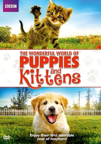 Wonderful world puppies and - of,