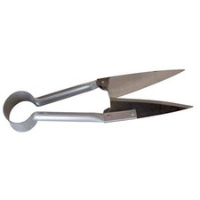 56783 DUE BUOI TOSATRICE