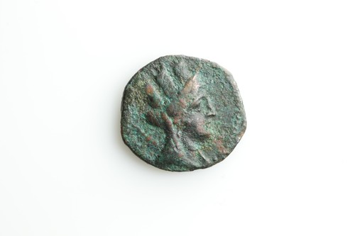 Fenicia tyros ae - -,